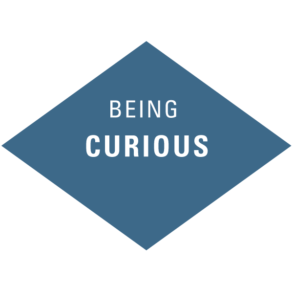 atwork-icons-beingcurious[1].png