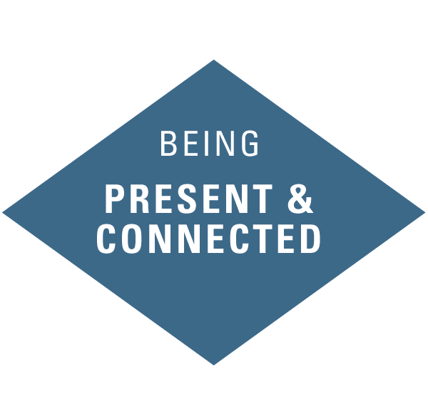 atwork-icons-beingpresentconnected.png