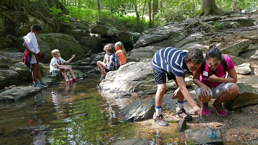 dunwoodynaturecenter.jpg