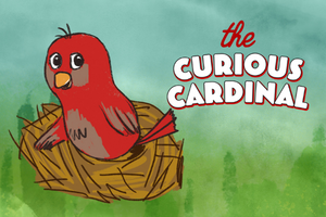 Show art depicting an illustrated red cardinal in its nest with a blue and green background. The title THE CURIOUS CARDINAL appears in front of the bird’s nest. 