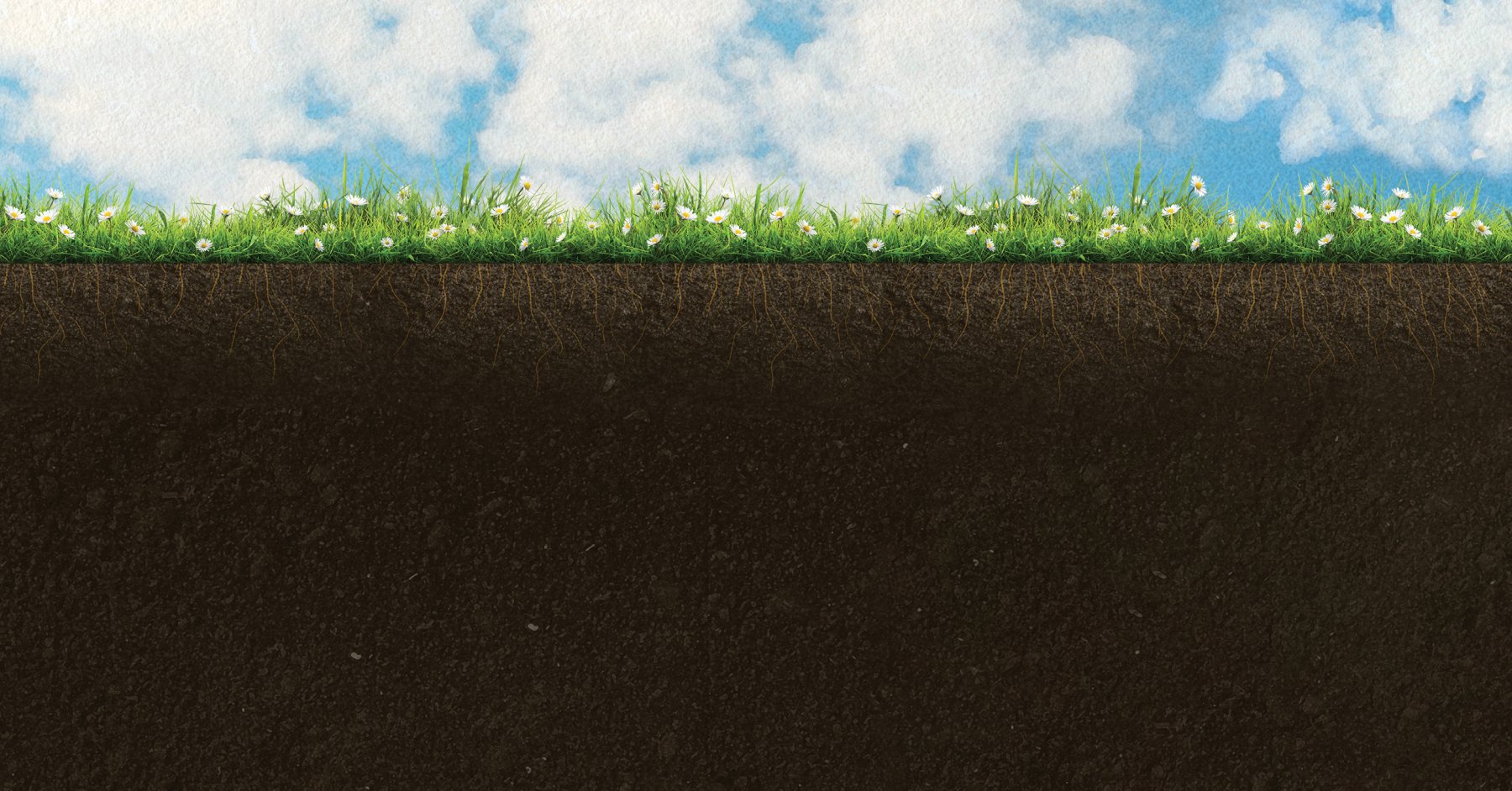 Cross-section view of blue skies, flowers, and grass, with soil and roots beneath.