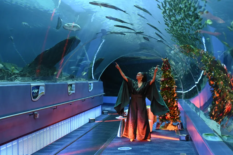 A person in a long dress stands in an underwater tunnel at an aquarium, pointing upward, with fish swimming above and a decorated Christmas tree nearby.