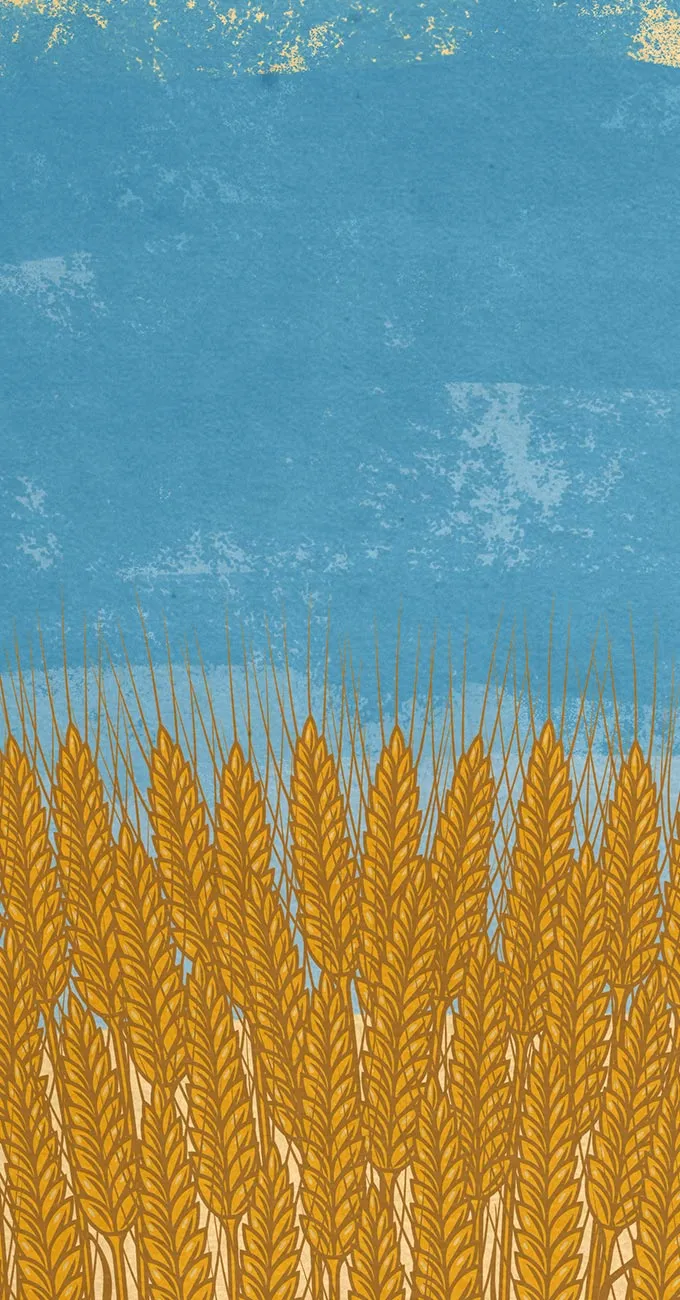 Illustration of golden wheat stalks in the foreground with a blue, textured sky in the background.