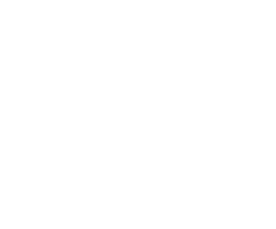 The image is completely blank with a white background and no visible objects or text.
