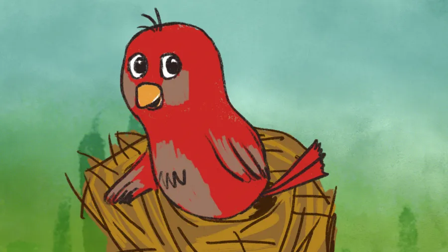 Illustration of a red cartoon bird with wide eyes sitting in a nest, set against a blue and green background.