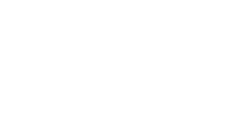 Logo for "The Hot Wing King" with stylized text; the "O" in "HOT" is topped with a small crown.