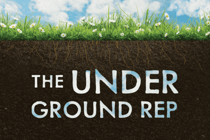 Text reading "The Underground Rep" appears partially buried in soil, with green grass and daisies growing above and blue sky with clouds in the background.