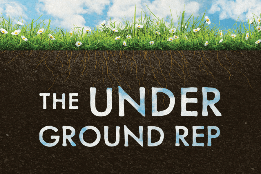 Text reading "The Underground Rep" appears partially buried in soil, with green grass and daisies growing above and blue sky with clouds in the background.