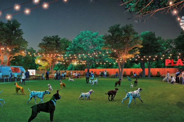 Fetch Park 8.24.17.0 Dogs of various breeds roam and play on a grassy, fenced park at night, with string lights overhead and people standing or sitting nearby. Trees and food trucks are visible in the background.