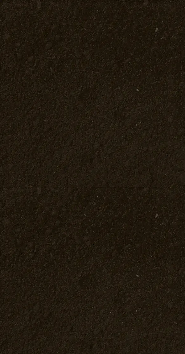 Close-up view of dark, fine-textured soil.