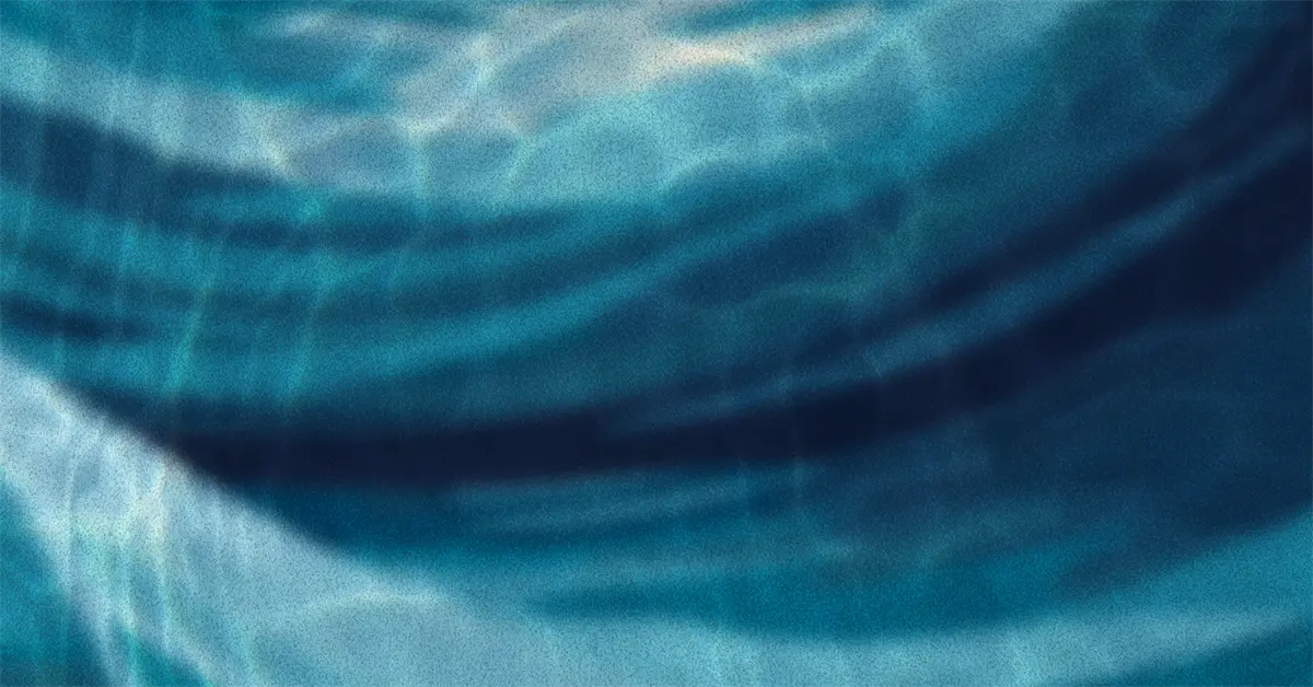 Blue ripples and light reflections are visible on the surface of water, creating a wavy, abstract pattern.