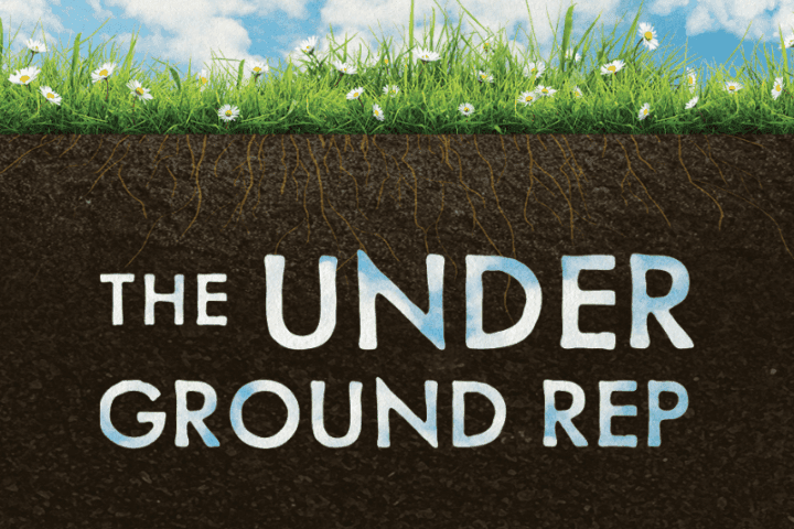Illustration of soil beneath grass and flowers, with the words "THE UNDER GROUND REP" embedded in the brown earth below the surface.