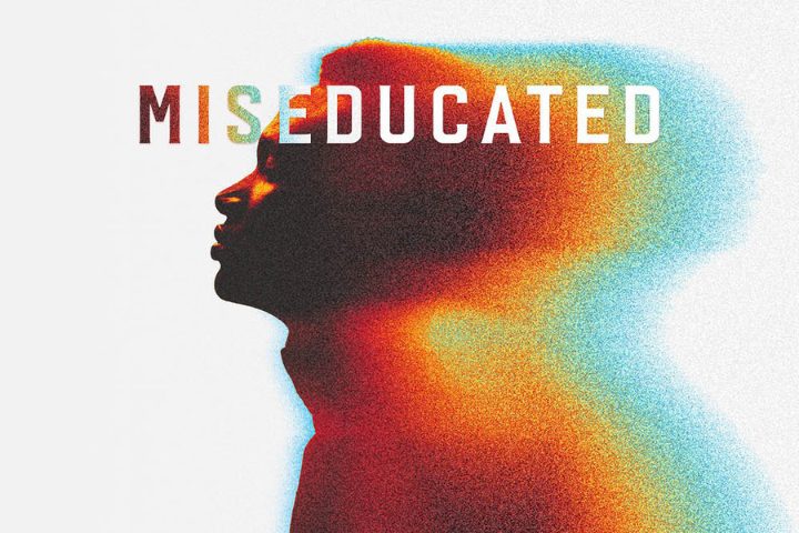Silhouetted side profile of a person with colorful light effects and the word "MISEDUCATED" overlaid across the top.