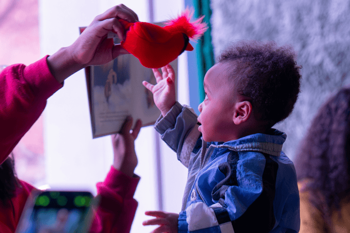 A young child reaches for a red plush bird, while an adult holds a book nearby.